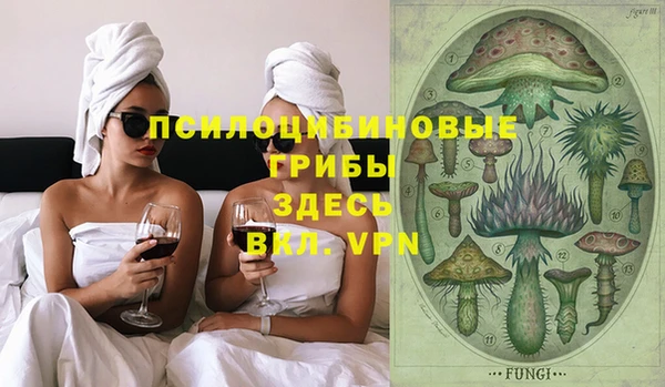 дживик Балахна