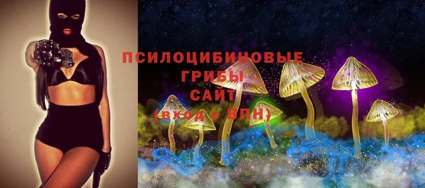 шишки Балабаново
