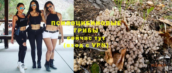 PSILOCYBIN Беломорск