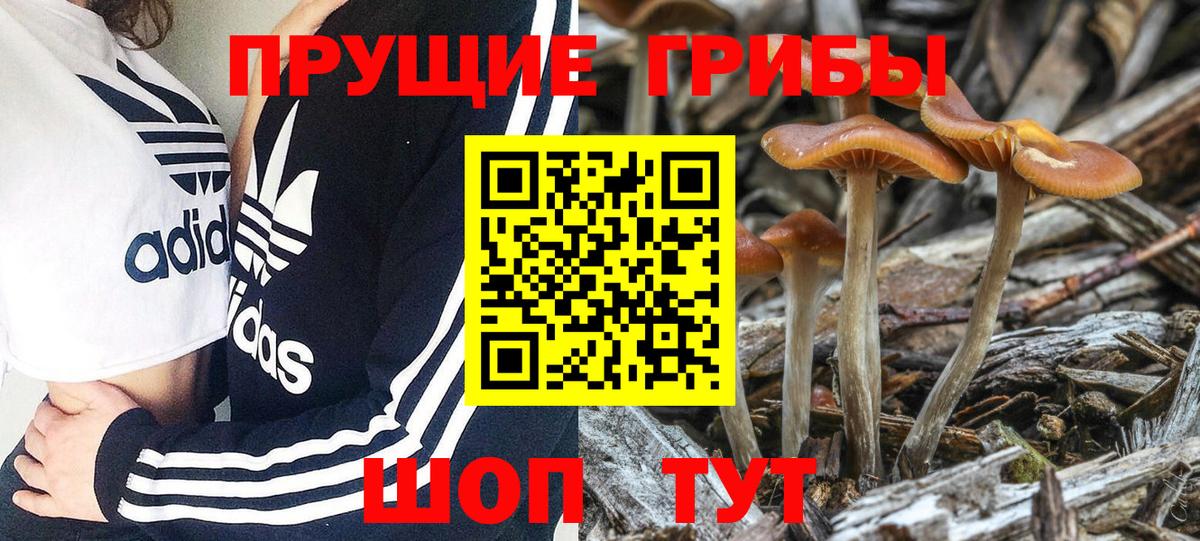 Галлюциногенные грибы мухоморы  что такое наркотик  Луховицы  Галлюциногенные грибы Magic Shrooms  Вход с VPN 