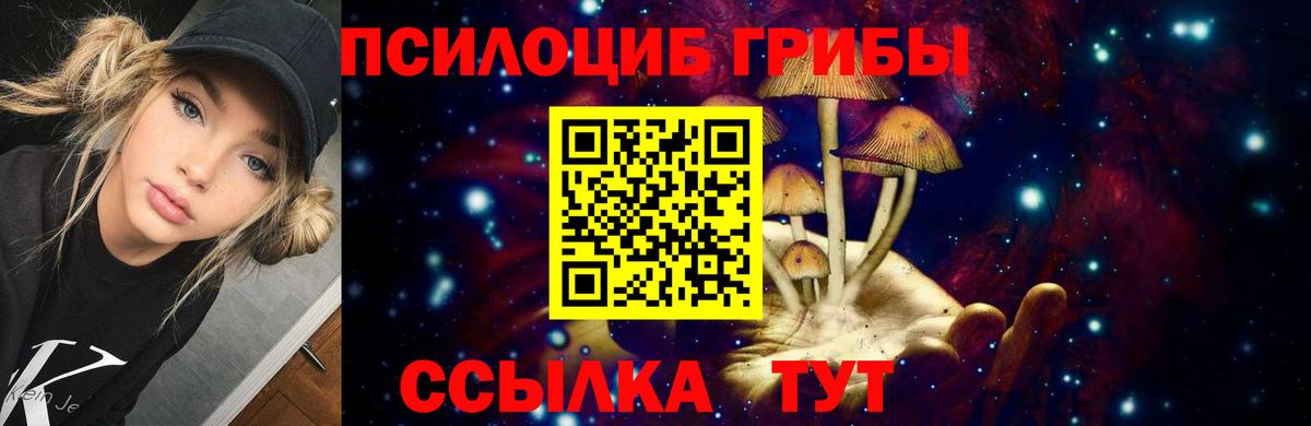 Галлюциногенные грибы Magic Shrooms Луховицы